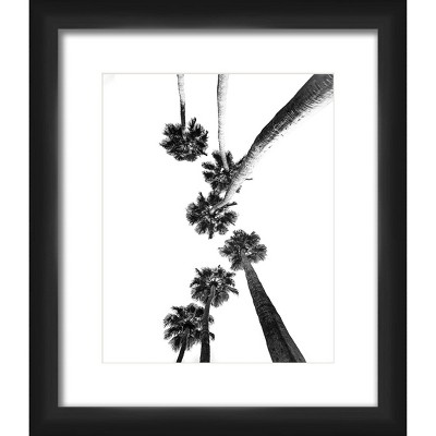 13" x 15" Matted to 2" Tall Palm Tree Picture Framed Black - PTM Images