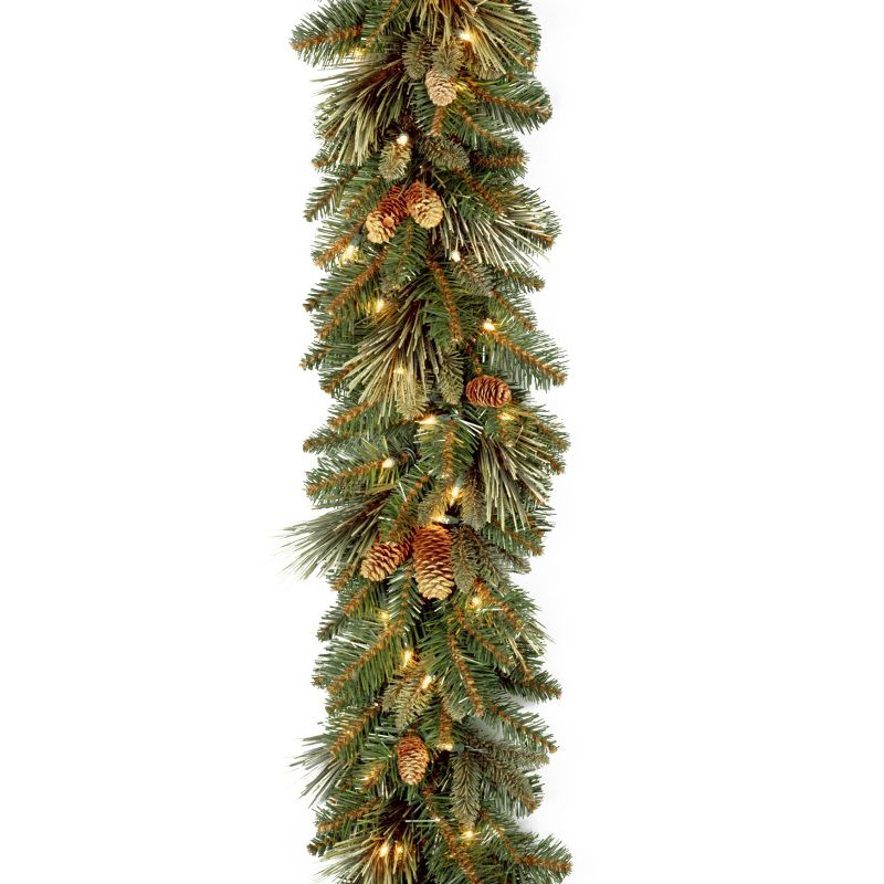 National Tree Company 9 ft. Carolina Pine Garland with Clear Lights, 1 of 8