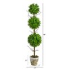 Nearly Natural 3-ft Eucalyptus Triple Ball Topiary Artificial Tree - 2 of 4