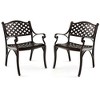 Costway 2/4 PCS Cast Aluminum Patio Chairs Set of 2 All Weather Outdoor Dining Chairs with Armrests Bronze - 2 of 4