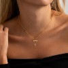 14K Gold Plated Charm Necklace for Women, Assorted Beach & Nature Themed Pendants Gold-Monstera Leaf - 2 of 4