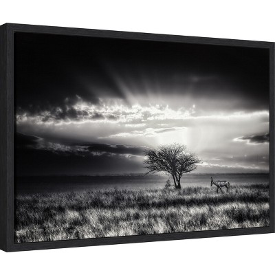 Black and White Framed Canvas Art Print, 23" x 16"