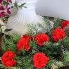 Floral Home 5" Stem Long Red Carnation Pick - 100-Piece - 2 of 3