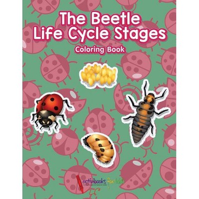 The Beetle Life Cycle Stages Coloring Book - by  Activibooks For Kids (Paperback)