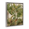 Stupell Industries Tropical Jungle Vegetation, 21" x 17" - 3 of 4