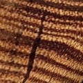wooden grain
