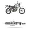 NGK Genuine OEM Replacement Spark Plug - CR7EIX - 2 of 3