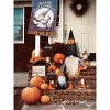 Gallerie II Halloween Gnome Plush Shelf Sitter - 3 of 4