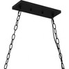 Quoizel Lighting Damien 5 - Light Pendant in  Earth Black - 3 of 4