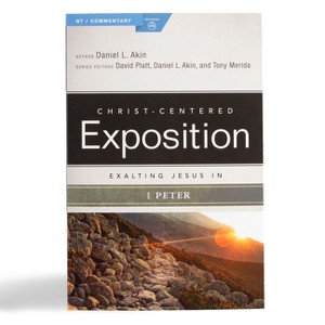 Exalting Jesus in 1 Peter - (Christ-Centered Exposition Commentary) by  Daniel L Akin (Paperback) - 1 of 1