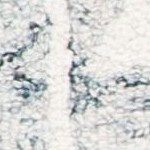 blue/ivory