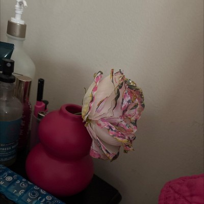 Guest review image 1 of 1, zoom in