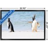 Trends International The Comedy Wildlife Photography Awards: Jennifer Hadley - Talk To The Fin Framed Wall Poster Prints - 3 of 4