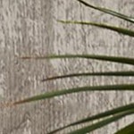 20l*2  37.60*42.80*57.70cm