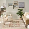 Nourison Pardis Traditional Vintage Indoor Rug - 4 of 4