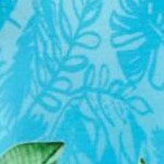 pretty turquoise tropical ombre