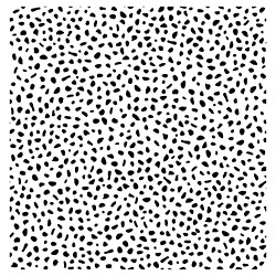Speckled Dot Peel Stick Wallpaper Black Opalhouse Target