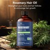Rosemary Hair Oil With Biotin and Jojoba - 2fl oz - 2 of 4