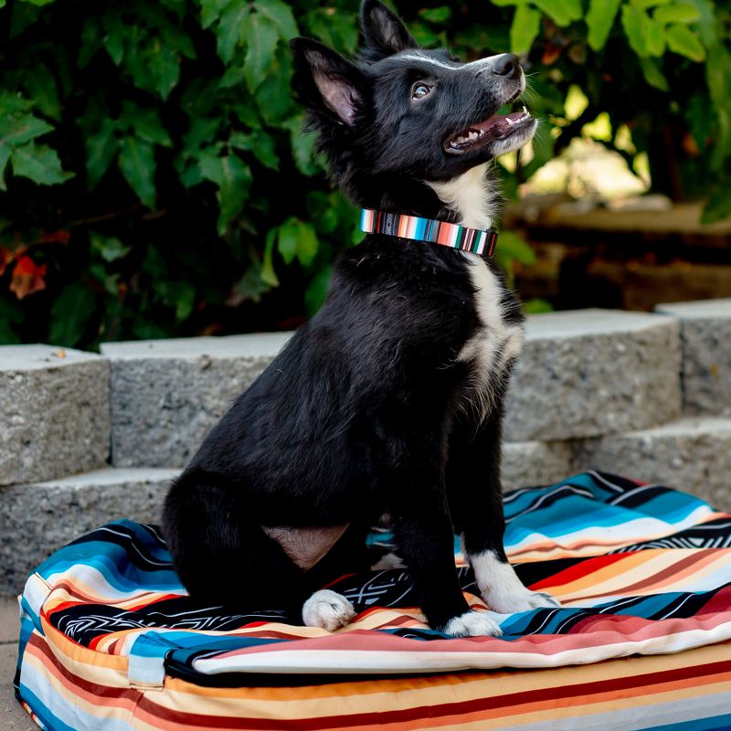 Wolfgang Man & Beast Premium Adjustable Dog Training Collar, Made in USA, LostArt Print, 3 of 6