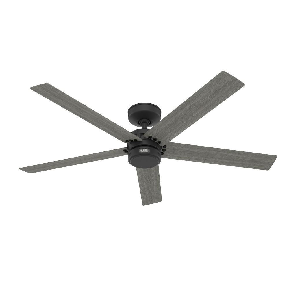 Photos - Air Conditioner 52" Burton Damp Rated Ceiling Fan and Wall Control Matte Black - Hunter Fa