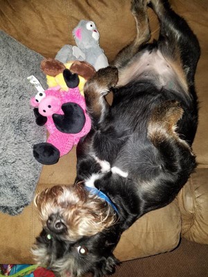 Guest review image 2 of 2, zoom in