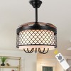 Bella Depot 42" Brown Modern Retractable Caged Ceiling Fan with Light and Remote - 2 of 4