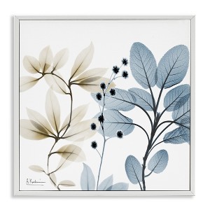 Stupell Industries Modern Herb Sprigs, 12" x 12" - 1 of 4