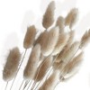 Alilang Neutral Dried Pampas Grass and Billy Balls Floral Arrangement, 17.5 Inches - Brown - 3 of 4