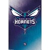 Trends International NBA Charlotte Hornets - Logo 14 Unframed Wall Poster Prints - 4 of 4