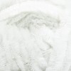 Lion Brand DIY Glow Chenille Yarn-Pearl - 2 of 2