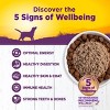Wellness Complete Health Chicken & Sweet Potato Formula Natural Canned Dog Food, 12.5-oz, Case of 12 - 3 of 4