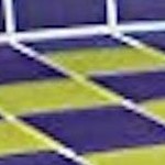 purple and yellow