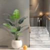 Artificial Bird of Paradise Plant, Faux Tree with Stable Planter for Indoor & Outdoor, for Home Decor - 3 of 4