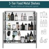Aghana Digitals Wall-Mounted Bathroom Medicine Cabinet with 3-Tier Storage, Stainless Steel Frame, - 4 of 4