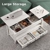 Summit Adventure 47.2" Lift-Top Coffee Table - 2 Drawers & Hidden Storage, Retro Wooden Top for Living Room - Gray - 4 of 4