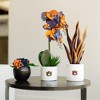 Forever Leaf Auburn Artificial Snake, Orchid and Hydrangea Plants 3-Pack Bundle, Indoor Artificial Plant for Home Decor - 2 of 4