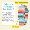 Country Brook Petz HossFit Jr Wide Martingale Dog Collar - Country and Western Collection - 2 of 4