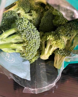 Making Pumping While Traveling a Little Bit Easier — The Broccoli Floret