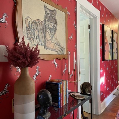 Guest review image 1 of 1, zoom in