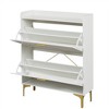 Shoe Cabinet with 2 Flip Drawers, Freestanding Hidden Shoe Rack, Shoe Organizer with Metal Legs, Shoe Storage Cabinet for Entryway Hallway - 4 of 4