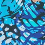 teal blue butterfly