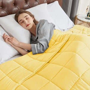 Inhand Weighted Blanket (48"x72") - Cooling Heavy Blanket with Glass Beads - All-Season Breathable Soft Comfort Microfiber Blanket - 1 of 4