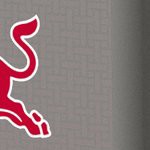 new york red bulls