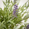 Sullivans Artificial 46" Double Lavender Topiary Bush, Purple - 2 of 4