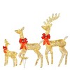3-Piece Pre-Lit Christmas Reindeer Family Decorations with 440 Warm White LED Lights, Outdoor Holiday Yard D¨¦cor with Stakes & Ropes - 3 of 4
