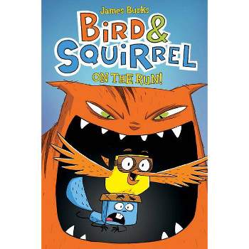 Bird & Squirrel on the Run!: A Graphic Novel (Bird & Squirrel #1) - by  James Burks (Paperback)