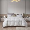 Farm To Home 100% Organic Cotton All Seasons White Down Comforter - 4 of 4