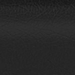 new england patriots