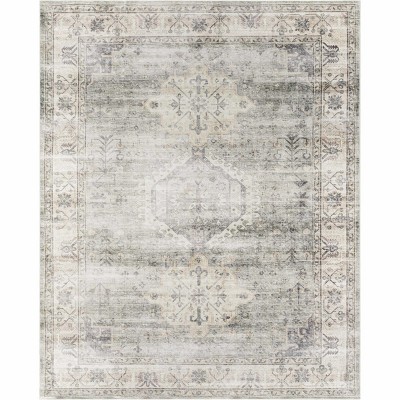 Hauteloom Laran Sage Distressed Washable Area Rug