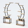 ACEPANO 63.5 in. H 2-Piece 9-Tier Large Indoor Metal Plant Stand with Grow Lights-Rustic Brown - 3 of 4